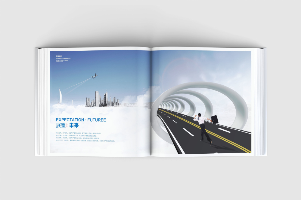 九龙坡区画册设计